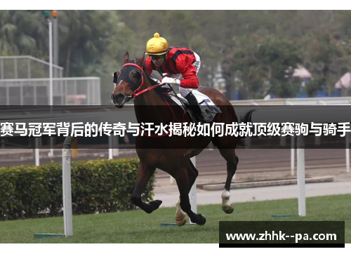 赛马冠军背后的传奇与汗水揭秘如何成就顶级赛驹与骑手